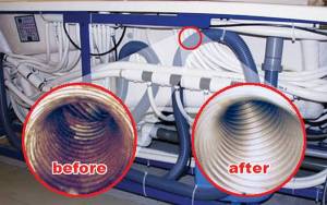 Biofilm before after